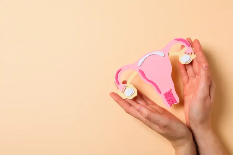 Efectele endometriozei și ale actului sexual dureros asupra calității vieții